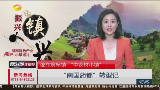 邵东廉桥镇:千年药香浸润成“南国药都”诚信为安身立命之本