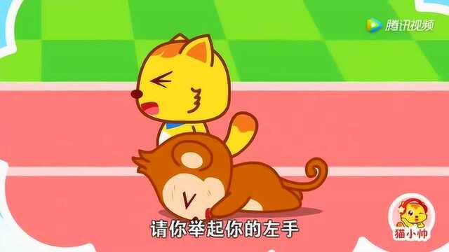 猫小帅儿歌149:左手右手