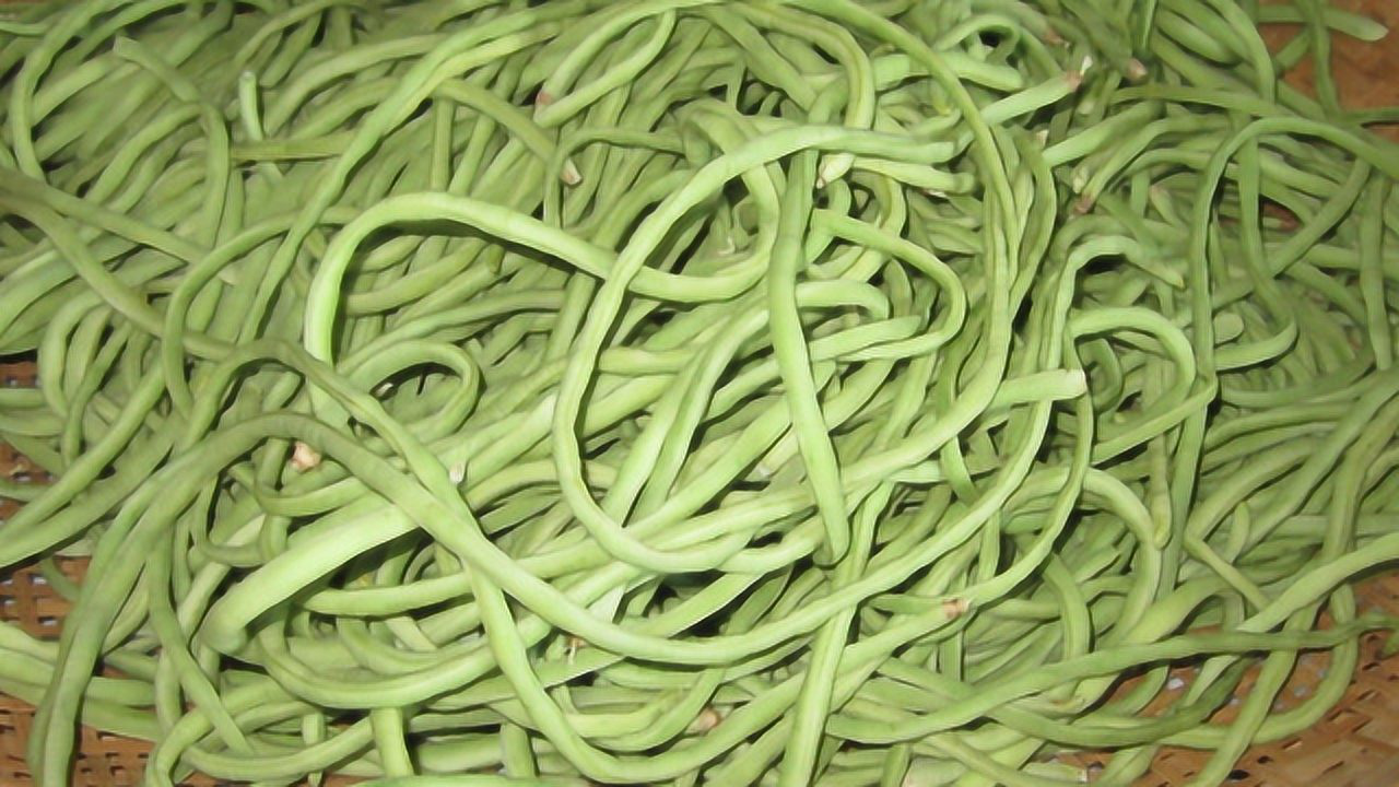 原来保存鲜豆角这么简单,教你保存豆角的好方法,放一年都没事!