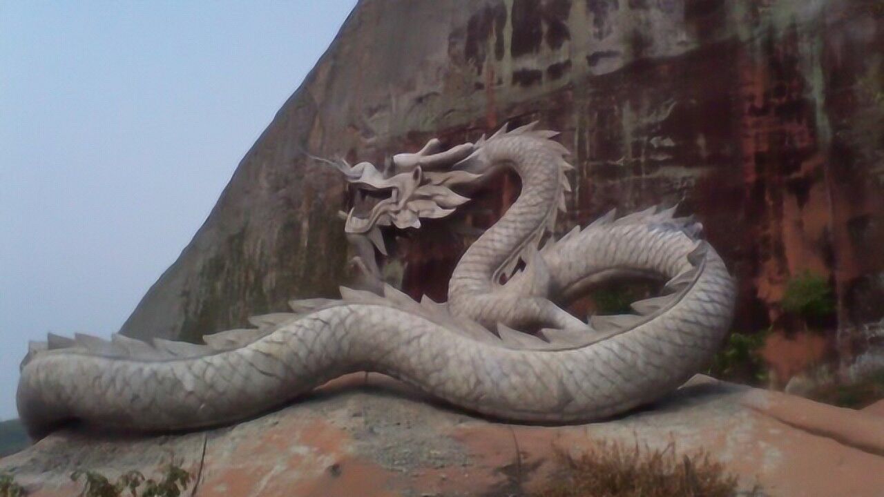 06年龙吃人的照片被证实揭秘昆仑山真龙现身真相原来是它