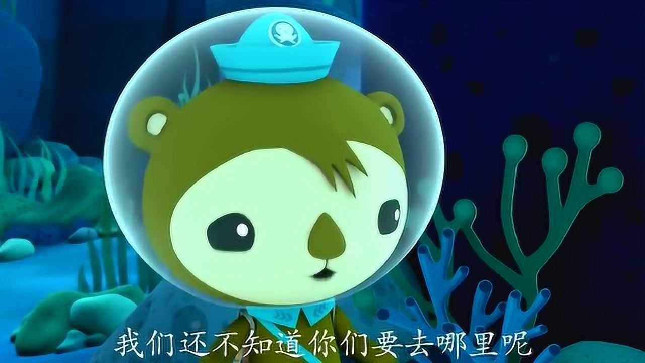 海底小纵队巴克队长们看到一块荒废的红树林