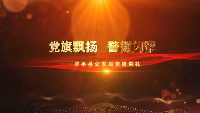 罗平县公安局党建巡礼——党旗飘扬 警徽闪耀