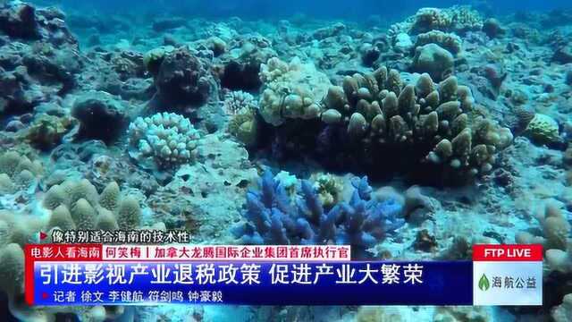 电影人看海南: 引进影视产业退税政策 促进产业大繁荣