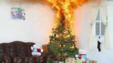 消防实验室：圣诞树瞬间变“火树” 暗藏较大火灾隐患