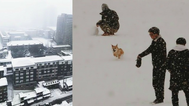 冷冷冷!湖南长沙漫天大雪如期而至,只露眼睛就冻得你后悔