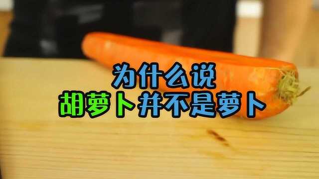 有些人说胡萝卜不是萝卜,这到底是为什么?