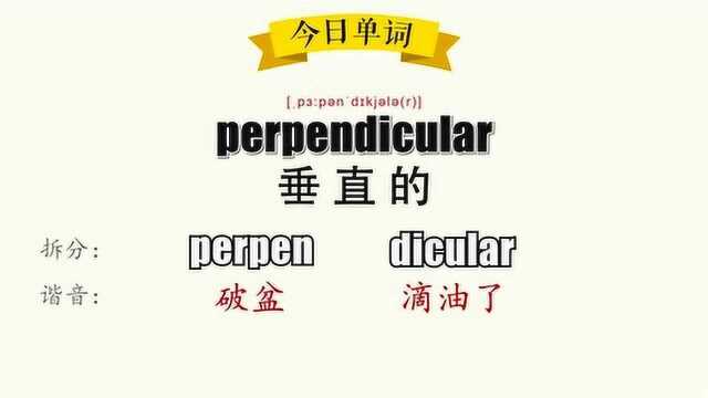 超级记忆之单词记忆perpendicular.垂直的