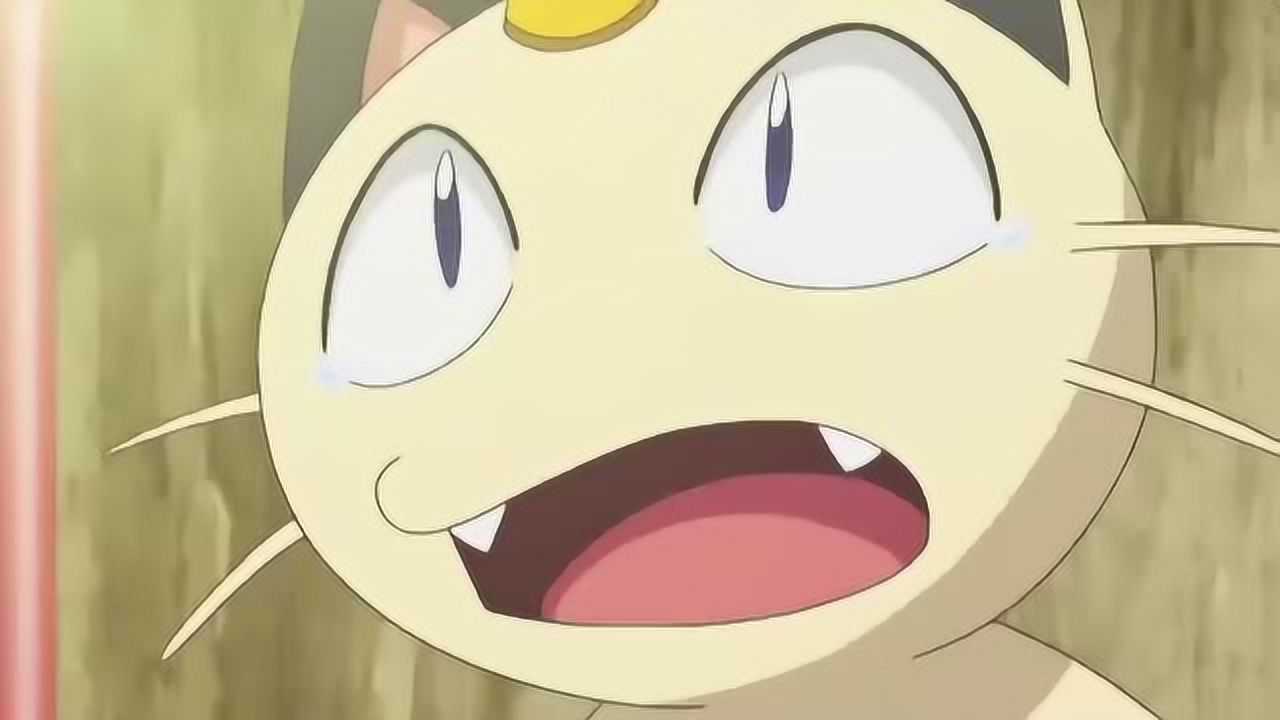 喵喵遭遇人生最大打击痛苦离开火箭队
