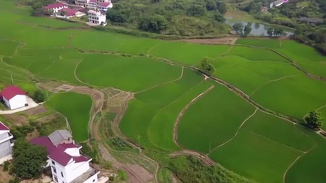 航拍中国:江西吉安农村美景,可以排第几名,在外的游子你们想家吗