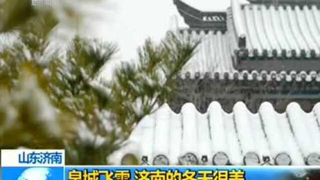 山东济南:泉城飞雪 济南的冬天很美