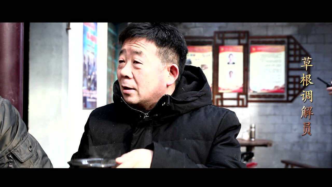 淮北市濉溪县临涣镇人民调解委员会王士宏_腾讯视频