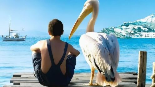 男孩和一只大鸟合伙做生意，在偏僻的小岛上，引来了巨多外国游客