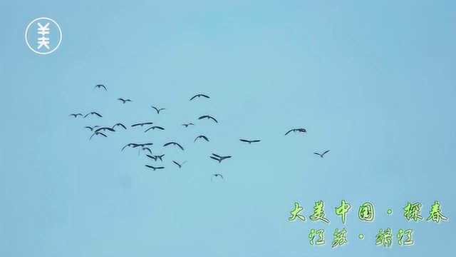 大美中国ⷦŽ⦘堦𑟨‹靖江 20190227