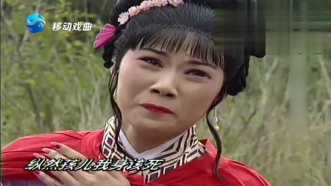 李金枝豫剧《泪洒相思地》爹爹爹爹连声唤