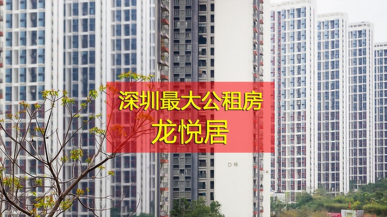 实拍深圳最大规模公租房-龙悦居,住户有11000多,月租仅七百元