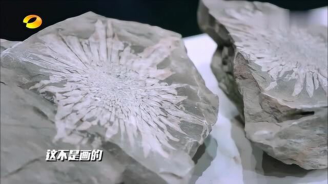 浏阳的名片菊花石,经过雕刻后更美了