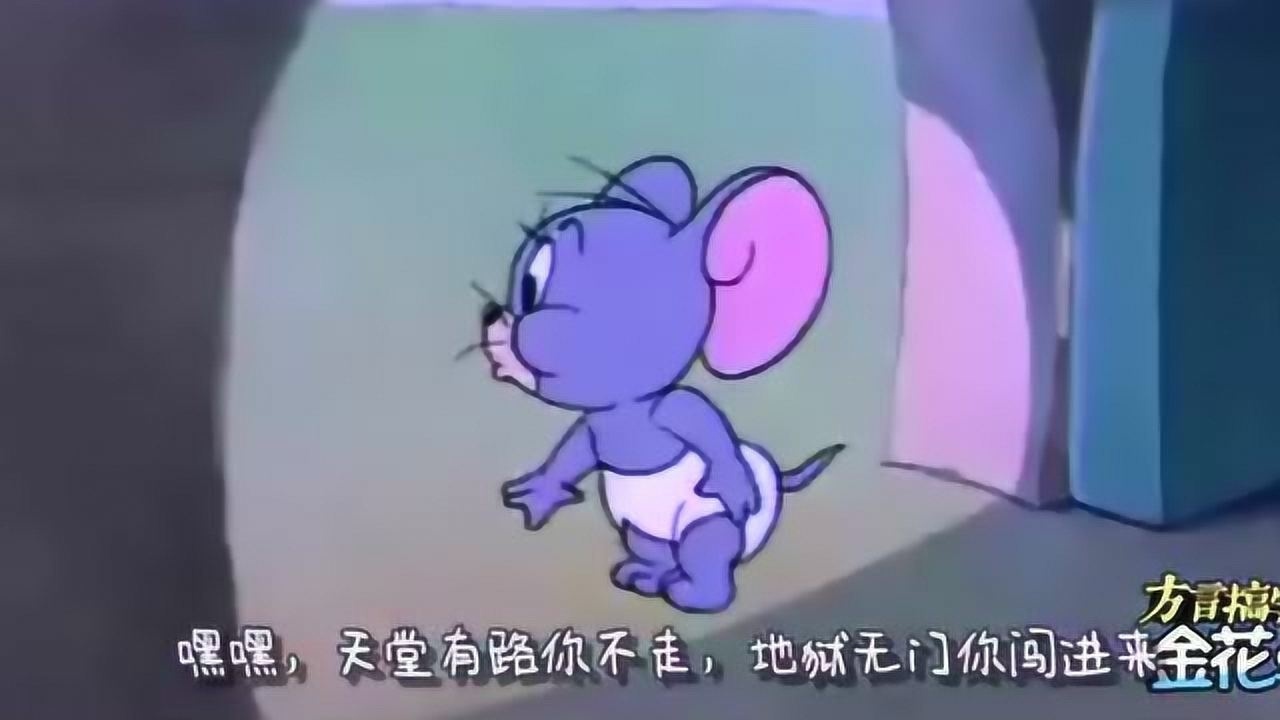 当猫和老鼠遇到金花哥的幽默四川话笑点一下就来了