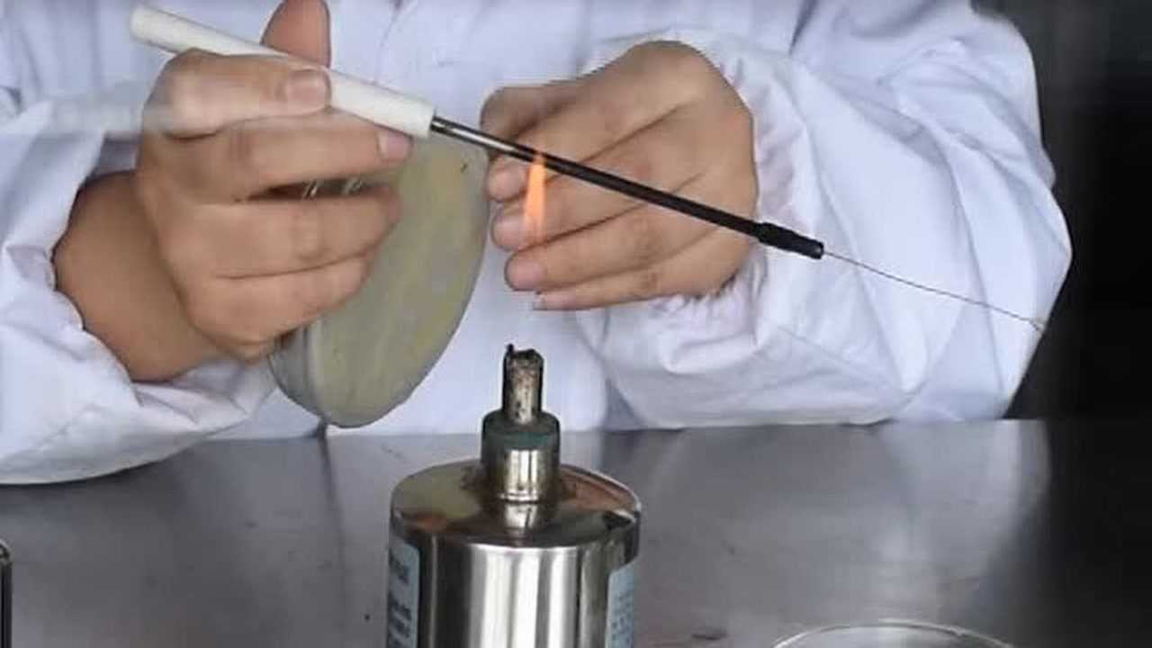 载玻片培养小室的制作