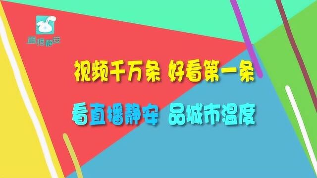 直播静安一周年