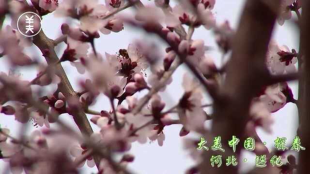 大美中国ⷦŽ⦘堦𒳥Œ—遵化