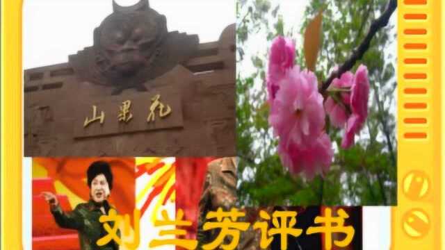 刘兰芳评书:《花果山传奇》全本24