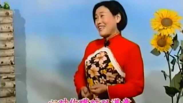 内蒙古山曲二人台《河套川的山曲能止渴》太好听了