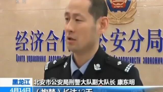 央视:黑河28个涉黑恶势力被清缴!盘踞20年涉黑团伙落网…