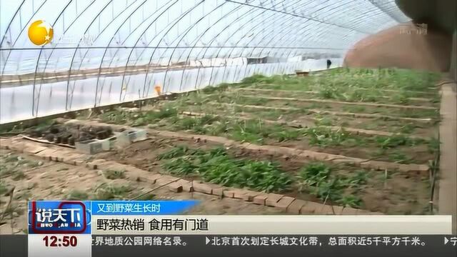 野菜热销,哪些人群不宜食用,了解一下