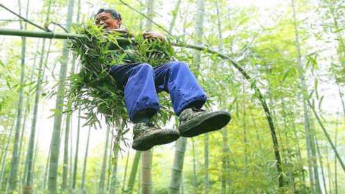 60岁老人被称为“竹海飞人”，能在竹林上游走，难道真的有轻功？