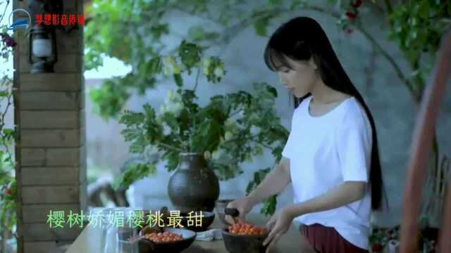 樱桃成熟了