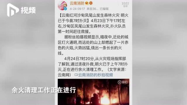 云南个旧凤尾山发生森林火灾,扑火人员连夜扑救,明火已扑灭