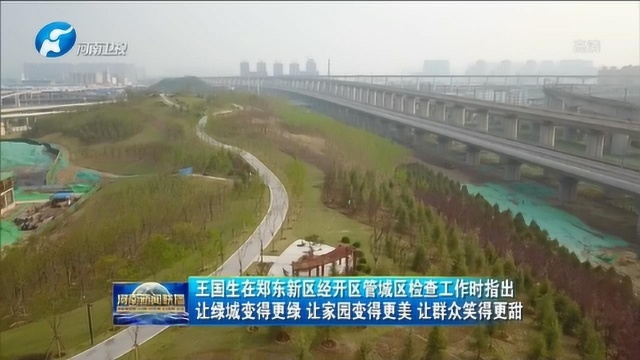 王国生在郑东新区经开区管城区检查工作