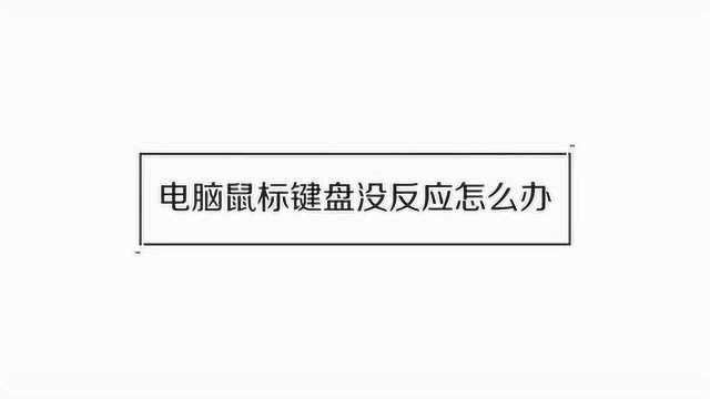 电脑上没装鼠标键盘驱动怎么办呢