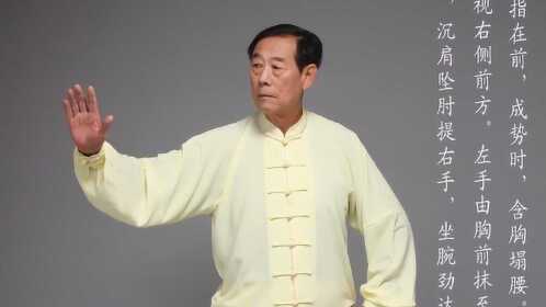 谁说太极拳不能实战王西安散手48式演示太极拳展示