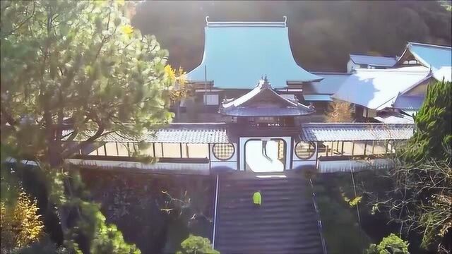 环寺路上万尊佛,辽宁省阜新蒙古自治县瑞应寺