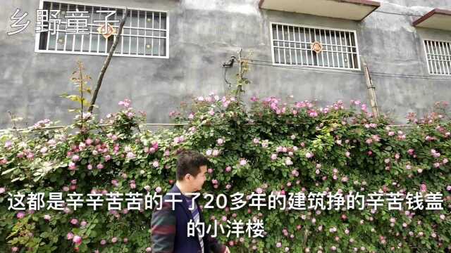 农村大哥在建筑队上干了20多年,为啥想要转行了?太现实!