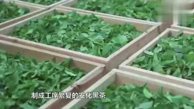 《舌尖上的中国》:安化擂茶,九龙盘,看饿了