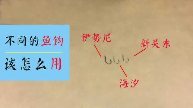 千又、海夕、丸世,这几种鱼钩怎么用?