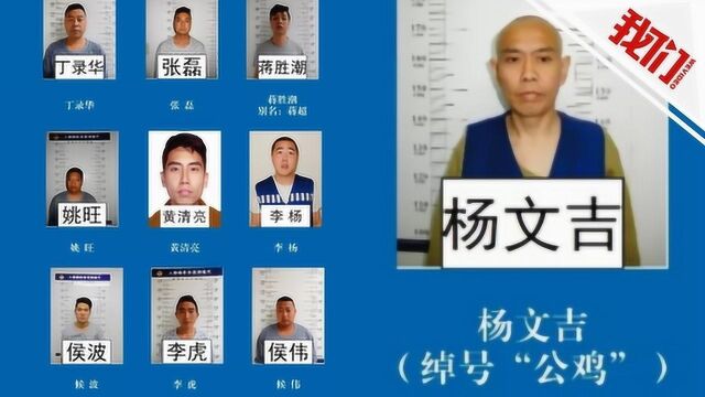 陕西打掉一涉黑团伙 征集“公鸡”“母鸡”等人犯罪线索