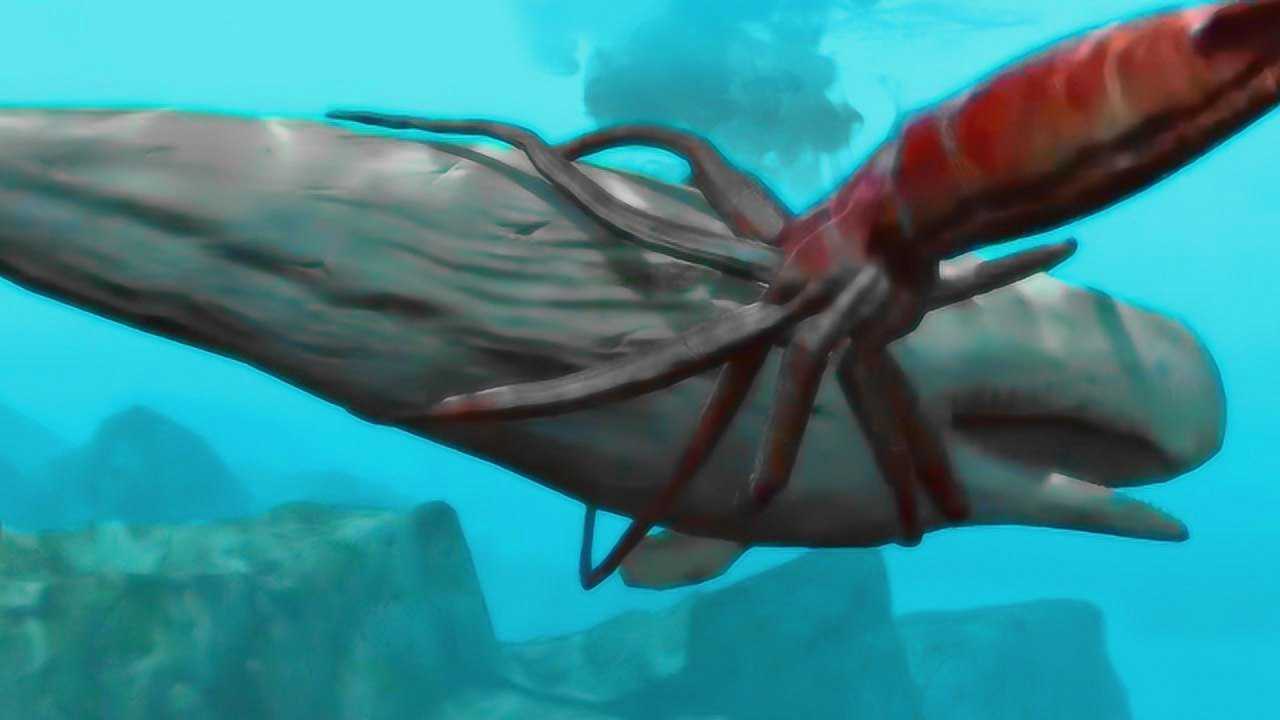 深海巨兽对决:大王乌贼与抹香鲸谁更强?带你进入海底看个明白