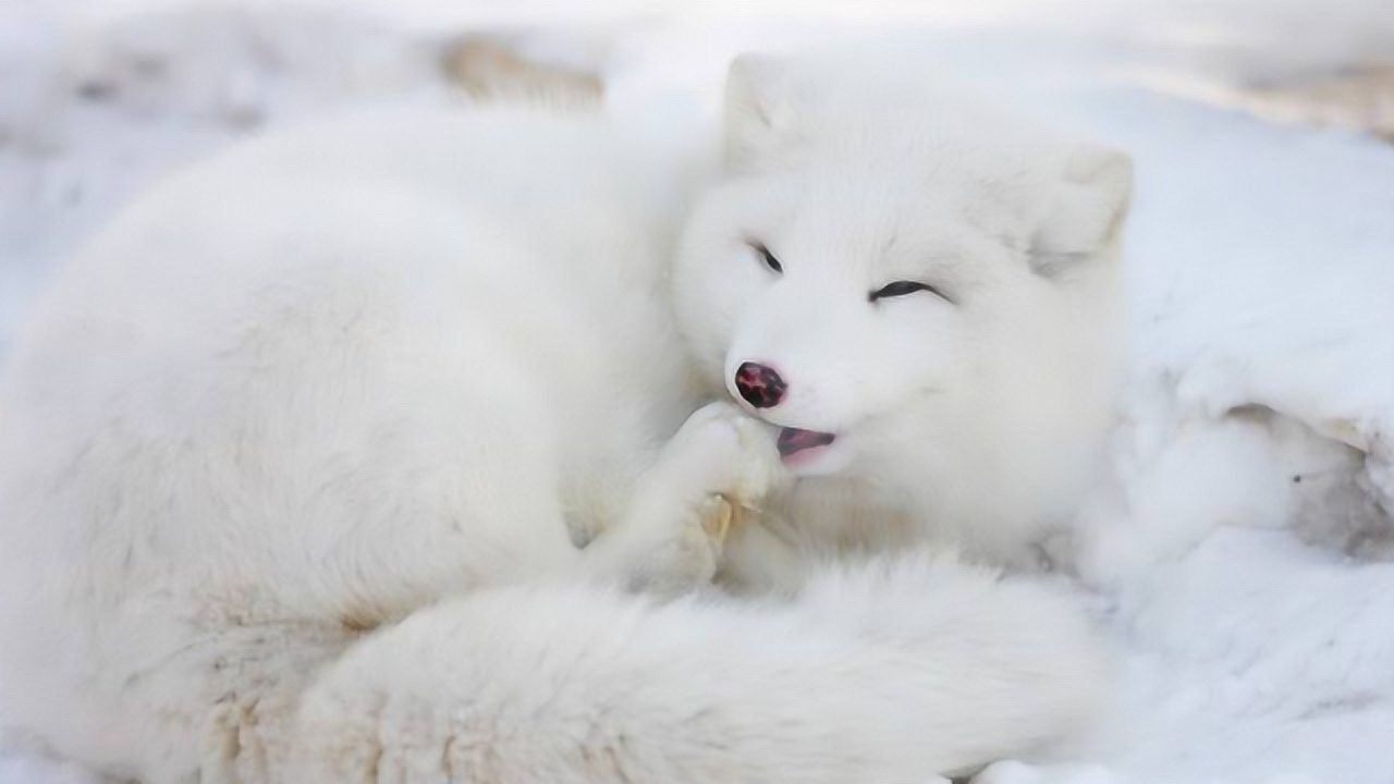 28-7.04 科技每日垂类