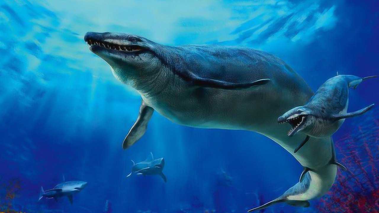 远古鲸鱼有多可怕?科学家发现其不为人知的一面,极为凶猛