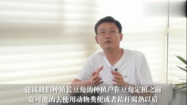 种的豆角叶片发黄,种植高手教你如何做才能高产?