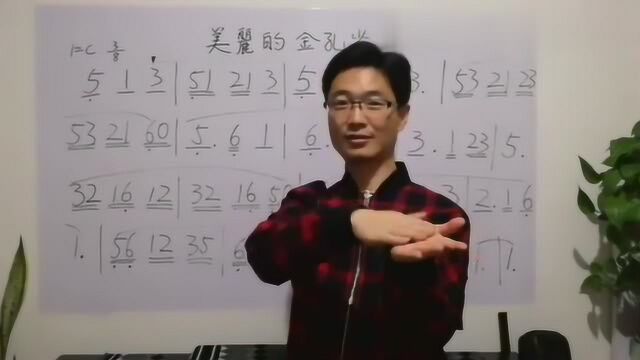 零基础学简谱:以《美丽的金孔雀》为例,学习休止符的演唱技巧