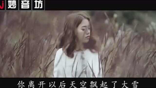 妙音坊DJ音乐:伤离别魏新雨