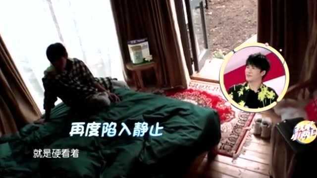 向佐变身“望妻石”,看着碧婷睡颜眼睛都不眨,实在太宠爱了