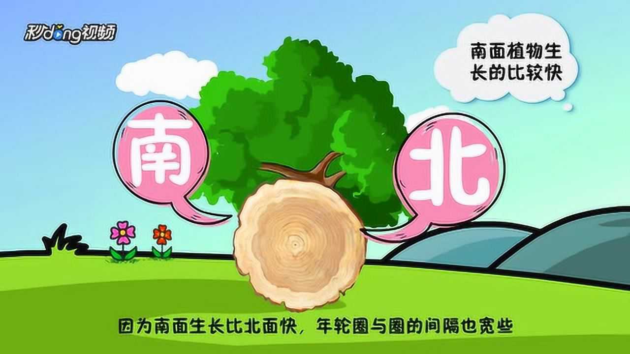 野外辨别方向的方法有哪些_高清