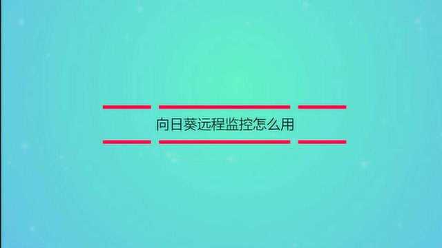 向日葵远程监控怎么用