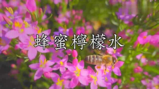 实用英文,蜂蜜柠檬水的英语怎么说