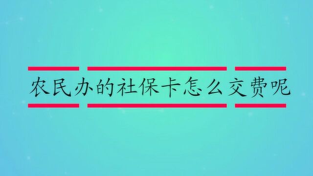 农民办的社保卡怎么交费呢